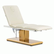 Physa - Physa Fauteuil esthétique 300 W 200 kg crème/Or - Table de Massage Chaise de Massage Table de Soins Table de Tatouage - 4062859280688