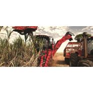 Récolteuse de canne à sucre austoft 8010 et 8810 - case ih - puissance 358 cv à 2100 tr/min