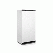 Armoire réfrigérée positive - 420L - GN2/1 - Blanc | Tefcold - UR550