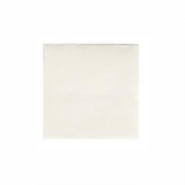 Papstar Serviettes, 2 plis "PUNTO" pliage 1/4 20 cm x 20 cm blanc microgaufrée - blanc 84337 Papstar Serviettes, 2 plis "PUNTO" pliage 1/4 20 cm x 20 cm blanc microgaufrée - blanc 84337