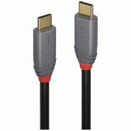 LINDY Câble USB USB 3.2 Gen2x2 USB-C® Fiche, USB-C® Fiche 1,00 m Noir, Gris 36901 - 4002888369015