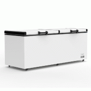 Romux® Congélateur Coffre Horizontal 820 Litres avec 2 Couvercles Plein Rabattable | Congélateurs Coffre Professionnels - 8435811807401