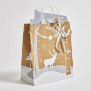 Sac kraft recyclé Forêt Enchantée poignées torsadées 26x14x31cm - par 25