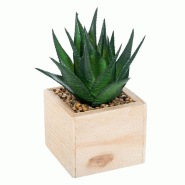 Atmosphera - Plante Chic artificielle 11x15cm - vert JJ1685
