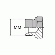 Mâle pour bague BS - Tête hexagonale - 10X100