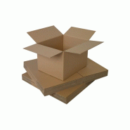 Carton simple 230x230x230mm 25un - 1701088