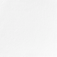 Serviette ouate blanche 2 plis 40x40cm - par 125 - recyclable et biodégradable