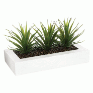 WellHome - Centre de table décoratif avec 3 plantes Aloe Vera 17cm - vert WH13999 WellHome - Centre de table décoratif avec 3 plantes Aloe Vera 17cm - vert WH13999