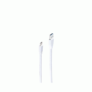 Shiverpeaks Câble 3.0 BASIC-S, fiche mâle A - mâle C, 1 m - blanc 4017538079046