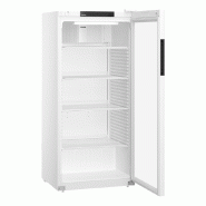 Armoire positive 1P pleine blanche Liebherr MRFVC5511