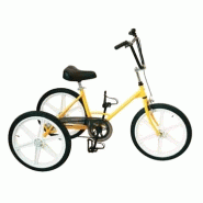 Tricycle pour handicapé avec guidon réglable en avant, en arrière et en hauteur - TONICROSS Basic