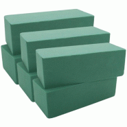Mousse  florale en brique mouillable verte 23x11x7.5 cm- par 20