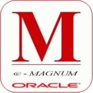 Logiciel emagnum