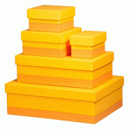 Set de 5 boîtes gigognes Rhodiarama, finition simili cuir italien, coloris jonquille - jaune 318986C