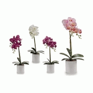 IBERGARDEN S3602927 POT DE FLEURS BLANC IBERGARDEN S3602927 POT DE FLEURS BLANC