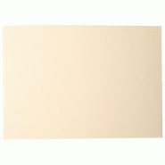 Paquet de 25 cartes POLLEN Clairefontaine format 11x15cm. ivoire Paquet de 25 cartes POLLEN Clairefontaine format 11x15cm. ivoire