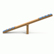 Balancier edu can agility parcours canin