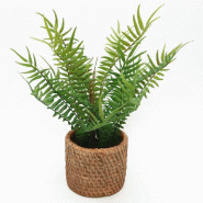 Fougère en pot effet cannage H30cm