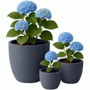 CLP Set de 3 bacs à plantes ronds 1 Anthracite - gris 326441 CLP Set de 3 bacs à plantes ronds 1 Anthracite - gris 326441