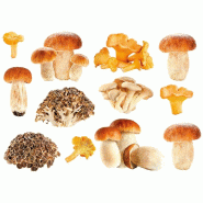 Sticker champignons à découper 50x70 cm - 12 champignons - Déco électrostatique vitres - Jaune et Orange