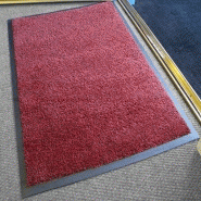 Professional - tapis d'entrée absorbant lavable en machine