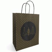 Sac kraft Eclat noir et or 26+12X32 cm - par 50
