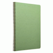 Clairefontaine Lot de 5 Carnet Age Bag A5, 100p./50 feuilles 90 g/m² reliure intégrale, couv. Coloris vert, quadrillé 5x5 - 3329687853233