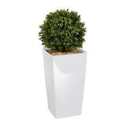 Plante artificielle d'intérieur - Buis Plante artificielle d'intérieur - Buis