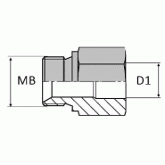 Adaptateur droit mâle BSP pour bague BS x emmanchement à souder non zingué - 1"1/2' , 47.8 , 40X49