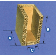 Coin carton