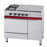 Fourneau à gaz 2 feux vifs et plaque coup de feu 650x500 mm sur 1 f... - PCG 1041 GAGCF
