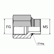 Adaptateur droit femelle gaz cylindrique x mâle SAE - 1/2' , 18.63 , 7/8' , 22.22