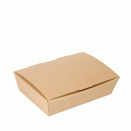Boîtes Lunch box The Pack en carton nano micro naturel 21x18x5,5cm - par 360