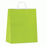 Sac kraft vert anis - poignées torsadées - 22x29+10cm - par 200