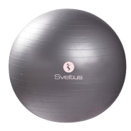 Ballon de gym 650 mm - BLLGYMPVCGR-SV03 Ballon de gym 650 mm - BLLGYMPVCGR-SV03