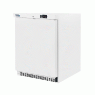 Armoire réfrigérée négative 1 porte pleine 200 litres gaz r290 - PAE201N