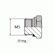 Tête hexagonale - SAE-OBMTH03 - OBMSAE 3/8 JO avec joint o'ring