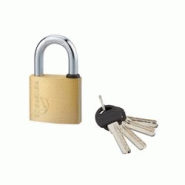 Cadenas à clé Reverso, laiton, extérieur, anse acier, 50mm, 4 clés - THIRARD - doré 3150261610504 Cadenas à clé Reverso, laiton, extérieur, anse acier, 50mm, 4 clés - THIRARD - doré 3150261610504