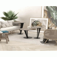 Anevia - ceramique-titane_0