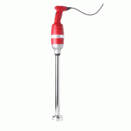 Mixeur plongeur professionnel - 500w - P224052