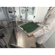 Module  salaison, fumaison, séchage et conditionnement pour produits de la mer
