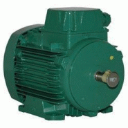 Moteur électrique ls 71 0.25/4 230v-xnw Moteur électrique ls 71 0.25/4 230v-xnw