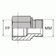 Adaptateur droit femelle NPT x mâle DIN bague BS - 1/4' , 10.99 , 12X150