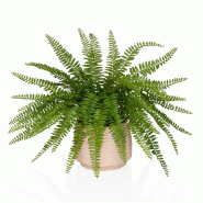 Plante artificielle / Plante en pot PROLIFERUM Fougère 35 cm Plastique vert hjh OFFICE - vert plastique 871063