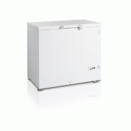 Congélateur de crème glacée - 273 L | Tefcold - FR305SL