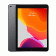 IPad 7 2019 128Go WiFi - Gris - Grade A_0