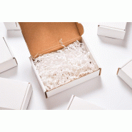 Frisure Plissée - 430004 – Coloris : Blanc Frisure Plissée - 430004 – Coloris : Blanc