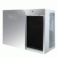 Machine à glaçons cubes 770 kg/24h modulaire condenseur air Brema