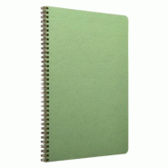 Clairefontaine Lot de 5 Cahier Age Bag A4, 100p./50 feuilles 90 g/m² reliure intégrale, couv. Coloris vert, ligné + marge - 3329687814531
