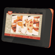 Tablette durcie 10" pouces sous Windows 10 pour les points de vente de couleur grise avec adaptateur US - Référence: AIM-37AT-S0GR0